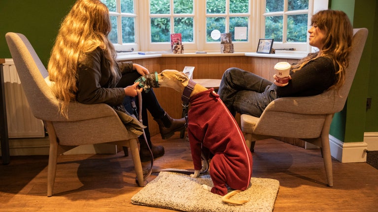 Visitors relaxing with their dog at Porter's Lodge Café at Ickworth, Suffolk